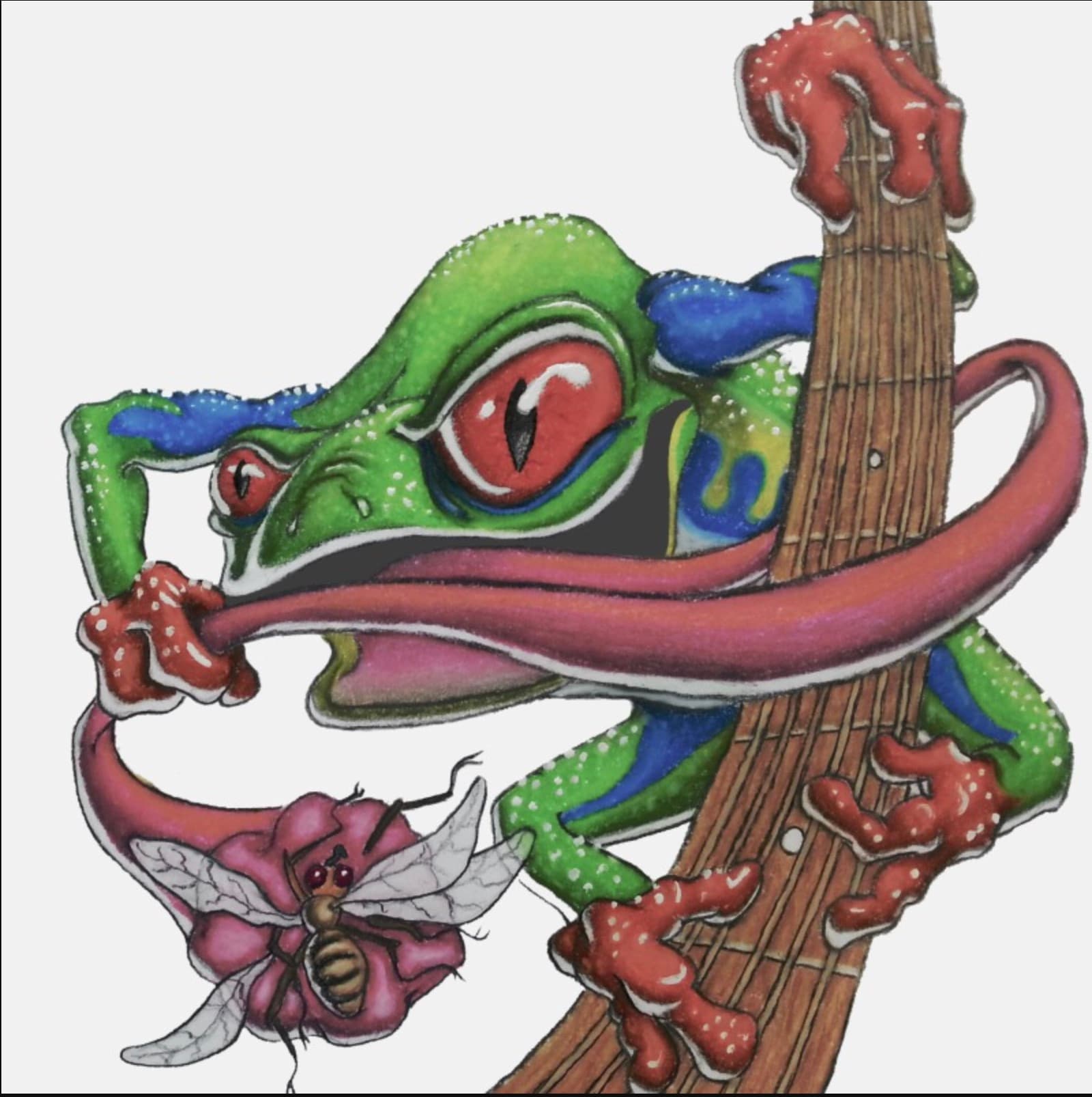 The Frog cover art